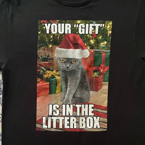 Cat Meme - Picture 2 of 2